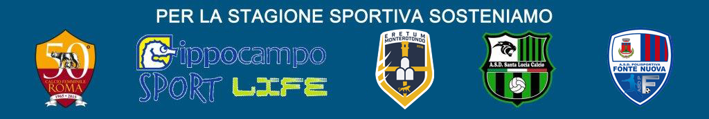 banner sponsor